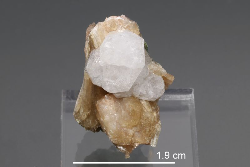 Analcime TNs (NS/C. Blomidon)